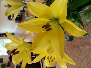 20130316_155449